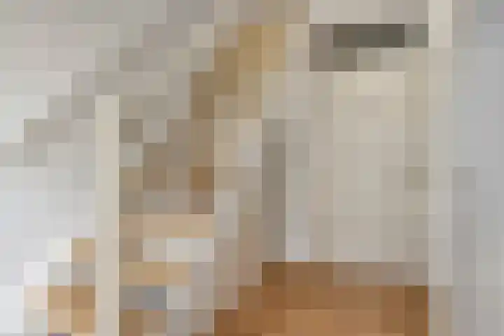 Schipluidenlaan 235 Tilburg thumbnail 8