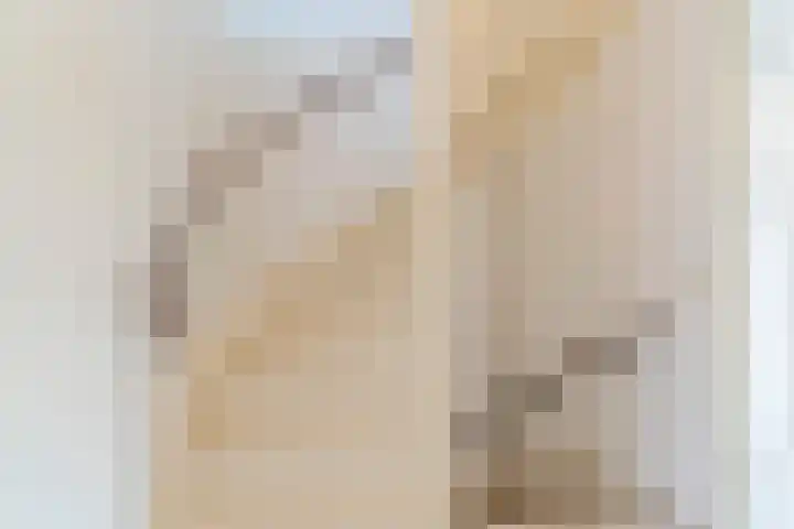 Schipluidenlaan 24 Tilburg thumbnail 15
