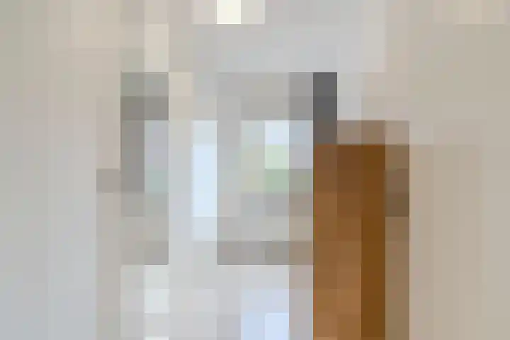 Schipluidenlaan 24 Tilburg thumbnail 16