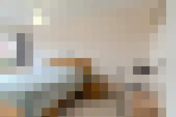 Schipluidenlaan 24 Tilburg thumbnail 19
