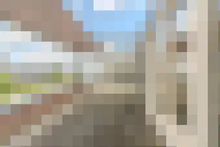 Schipluidenlaan 24 Tilburg thumbnail 28