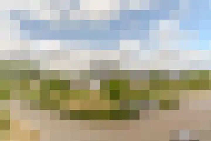 Schipluidenlaan 24 Tilburg thumbnail 29