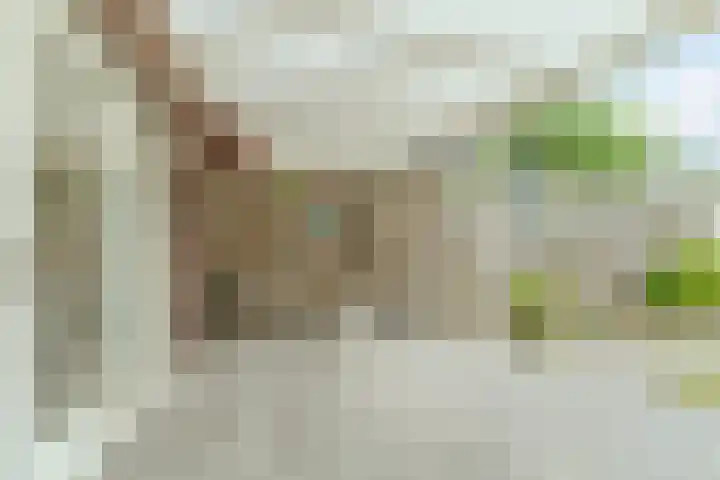 Schipluidenlaan 24 Tilburg thumbnail 32
