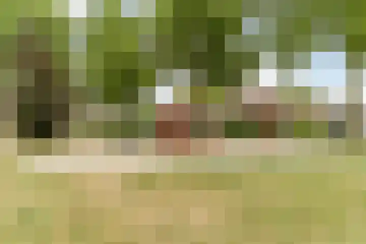 Schipluidenlaan 24 Tilburg thumbnail 38