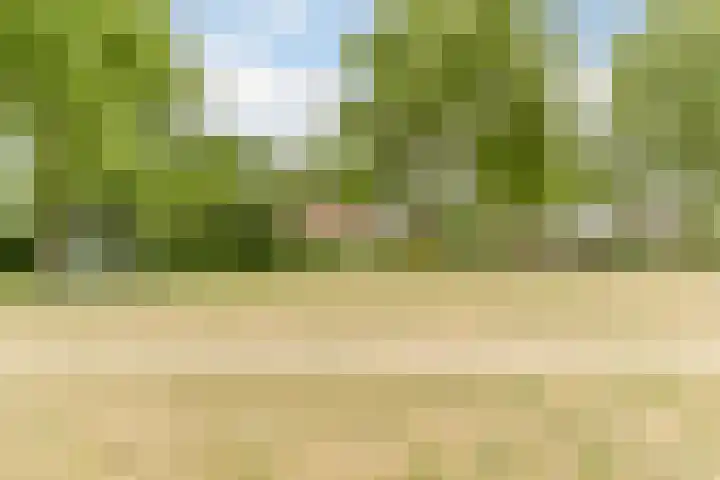 Schipluidenlaan 24 Tilburg thumbnail 39
