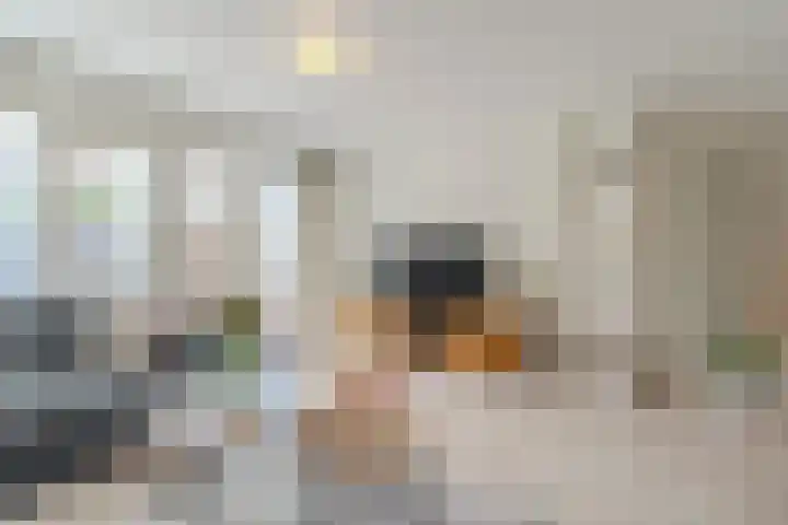 Schipluidenlaan 24 Tilburg thumbnail 5