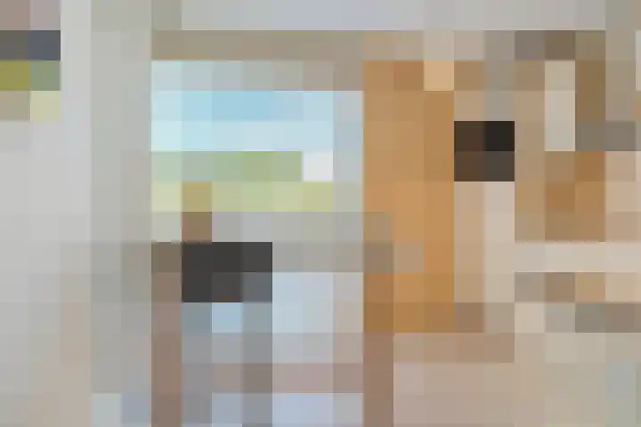 Schipluidenlaan 24 Tilburg thumbnail 8