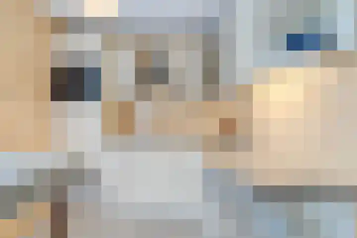 Schipluidenlaan 24 Tilburg thumbnail 9