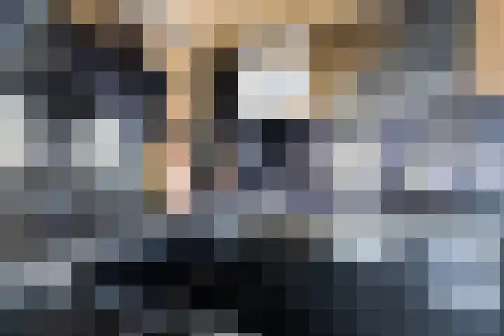 Schipluidenlaan 31 Tilburg thumbnail 16