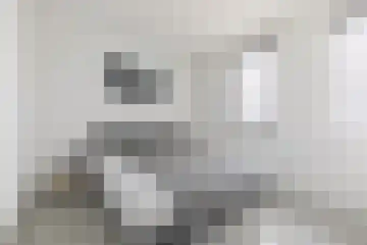Schipluidenlaan 34 Amsterdam thumbnail 12