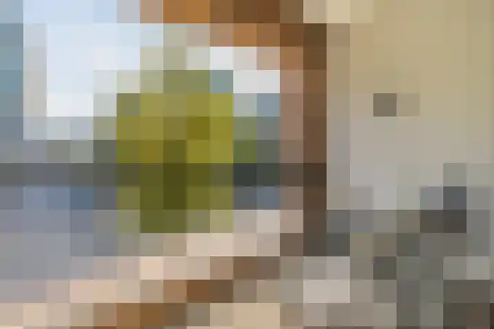 Schipluidenlaan 34 Amsterdam thumbnail 18
