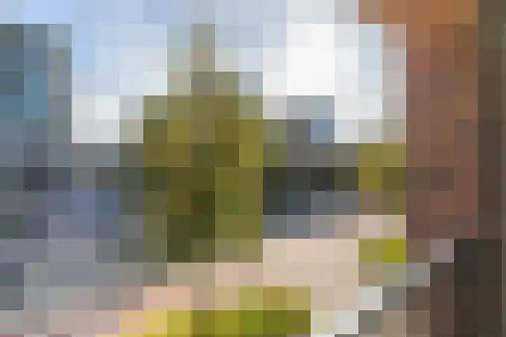 Schipluidenlaan 34 Amsterdam thumbnail 19