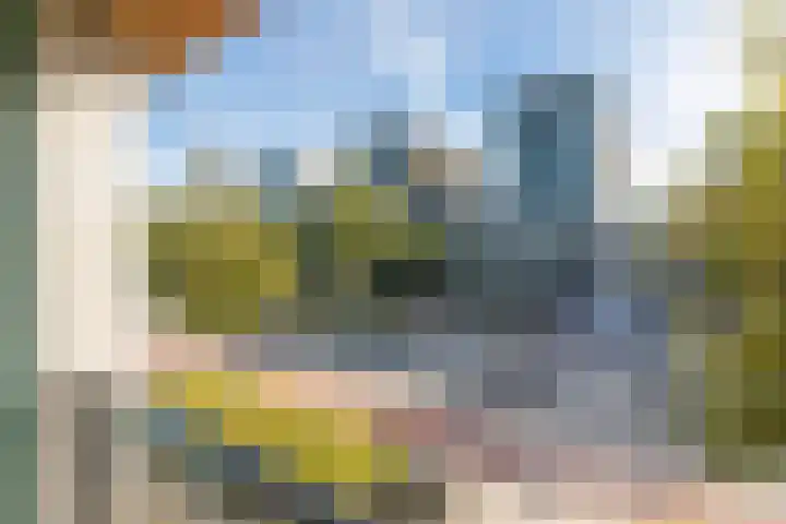 Schipluidenlaan 34 Amsterdam thumbnail 21