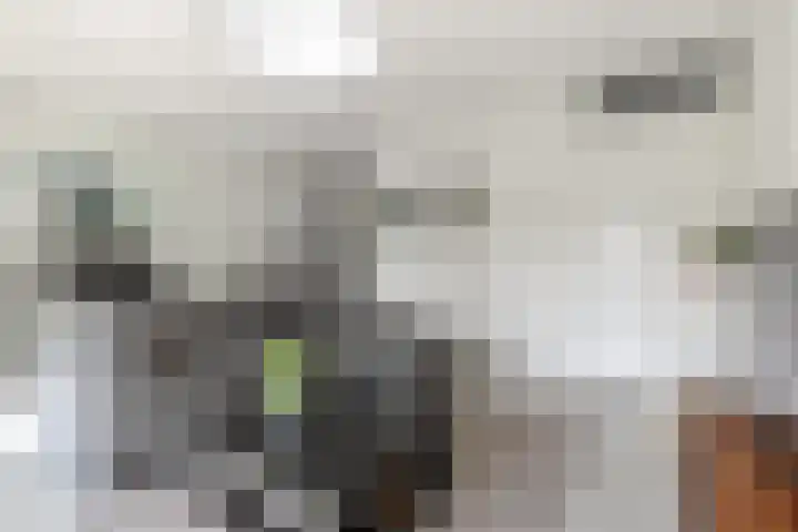 Schipluidenlaan 34 Amsterdam thumbnail 6