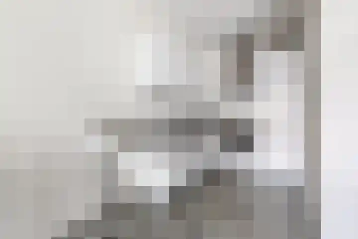 Schipluidenlaan 34 Amsterdam thumbnail 8