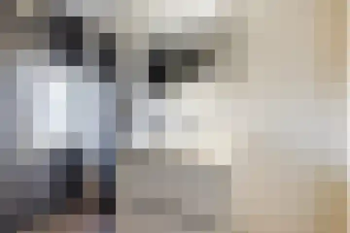 Schipluidenlaan 44 Tilburg thumbnail 11