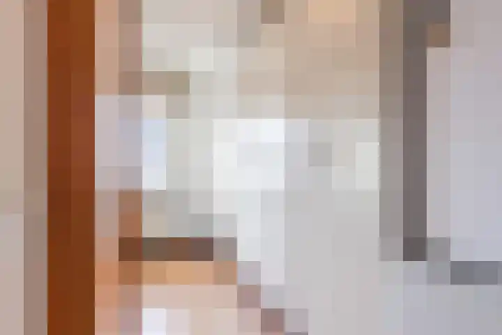 Schipluidenlaan 44 Tilburg thumbnail 17