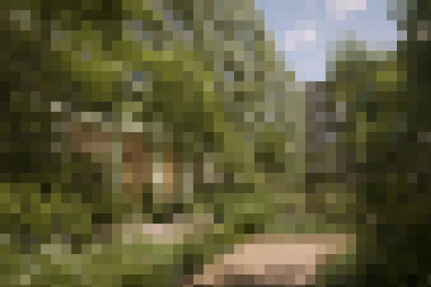 Schipluidenlaan 512 Amsterdam thumbnail 13