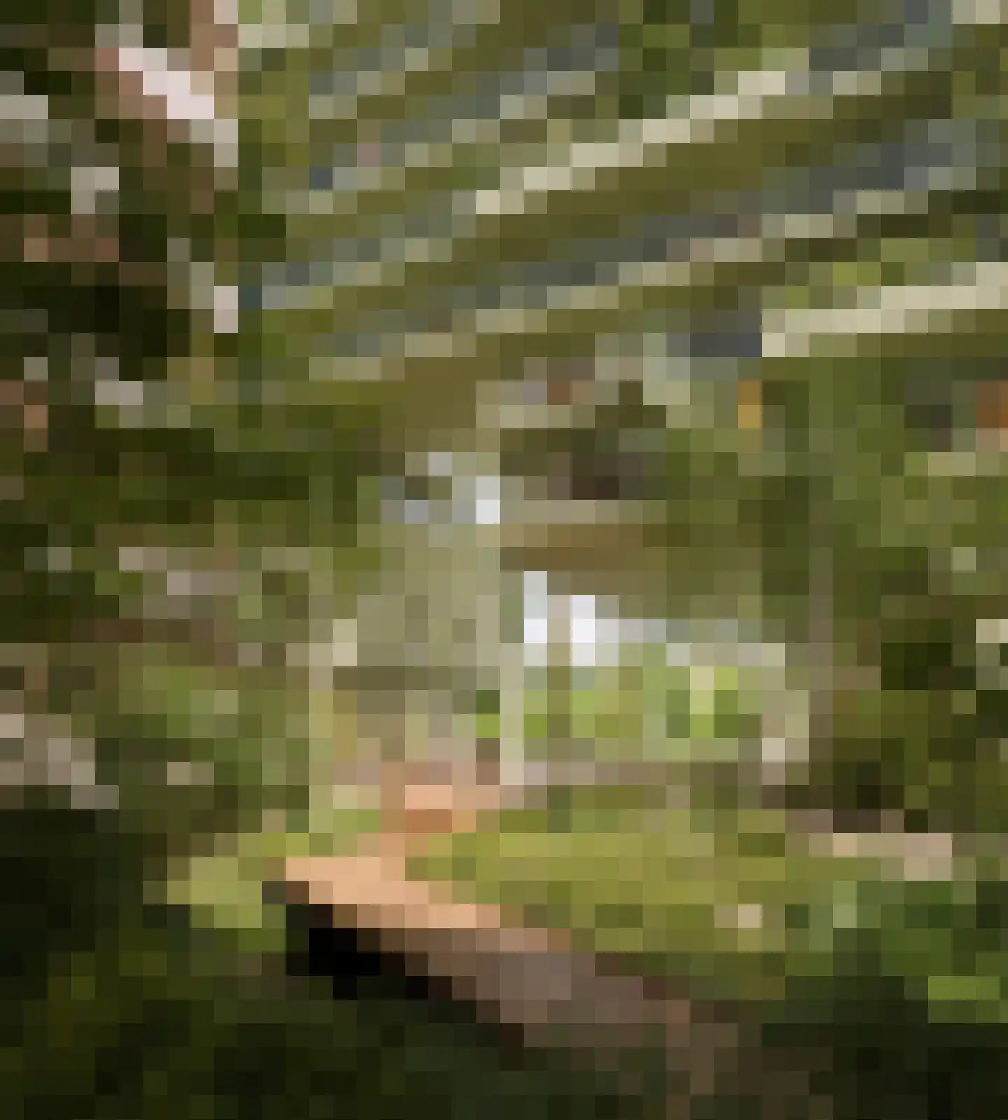 Schipluidenlaan 512 Amsterdam thumbnail 6