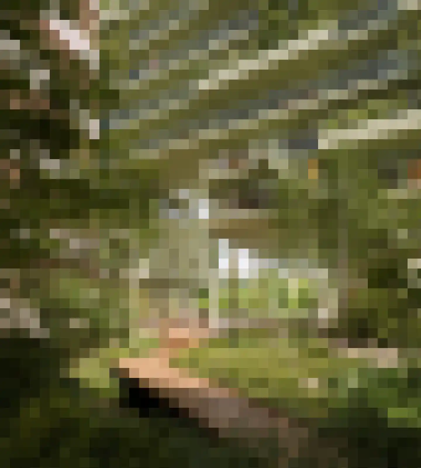 Schipluidenlaan 514 Amsterdam thumbnail 6