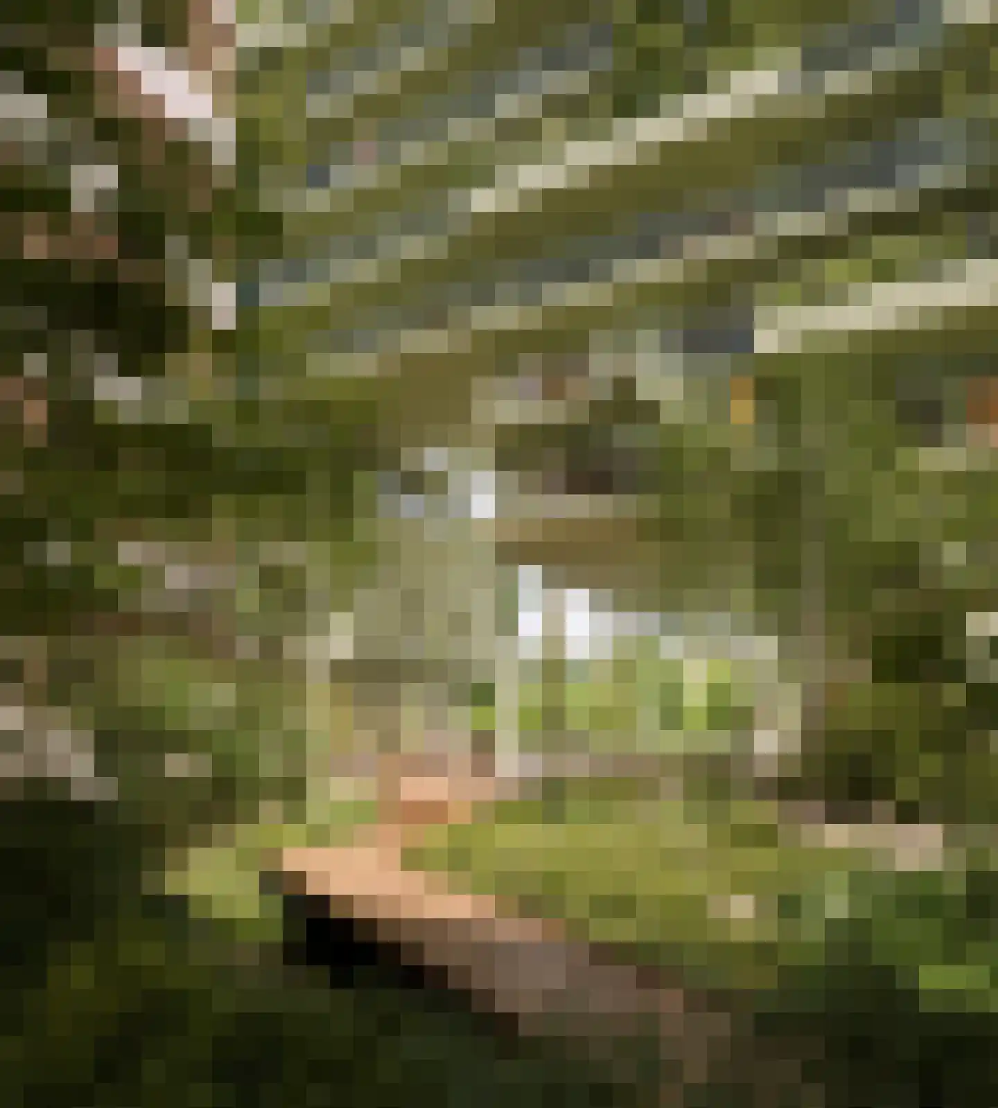 Schipluidenlaan 518 Amsterdam thumbnail 6