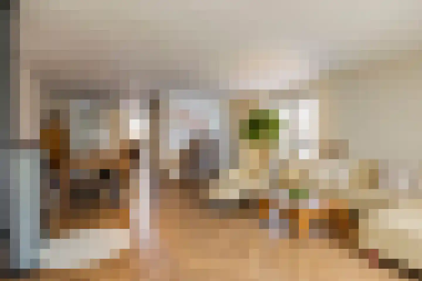 Schipluidenlaan 60 Tilburg thumbnail 16