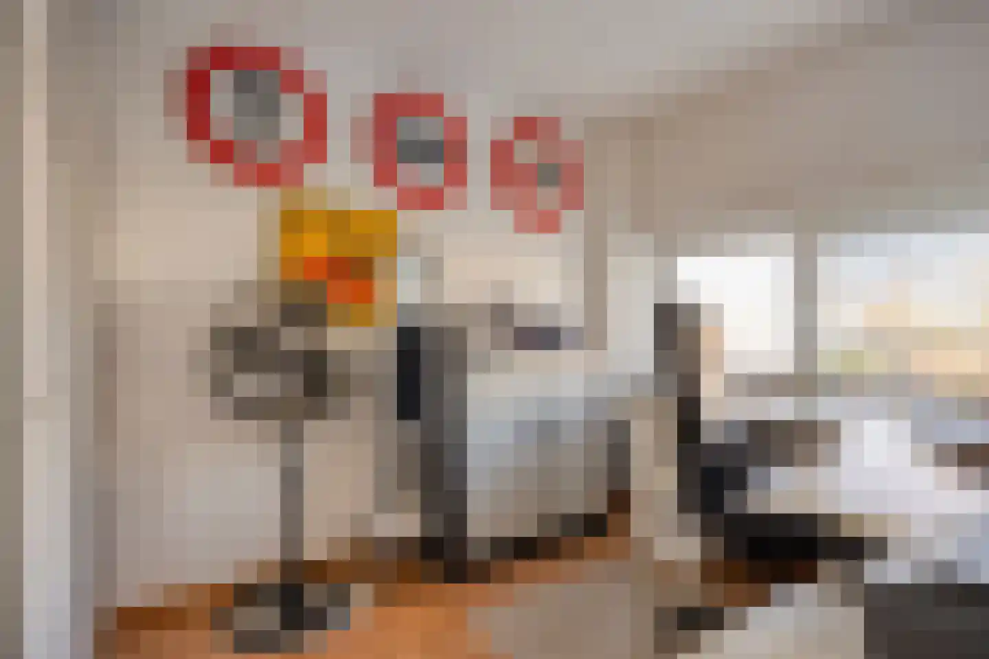 Schipluidenlaan 60 Tilburg thumbnail 40
