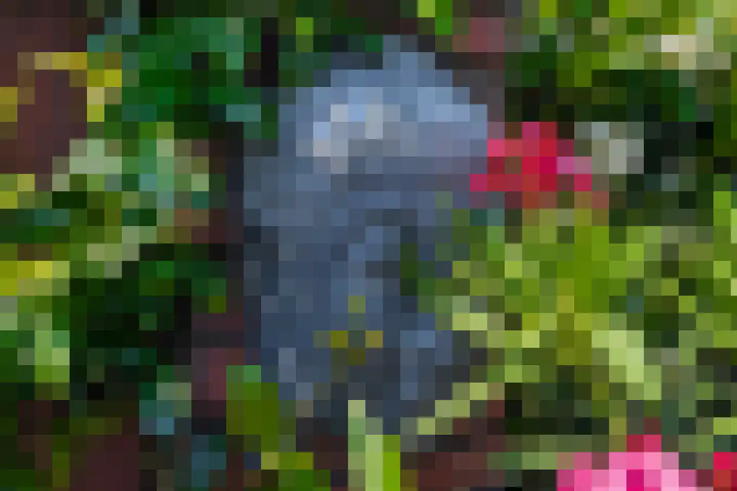 Schipluidenlaan 60 Tilburg thumbnail 48