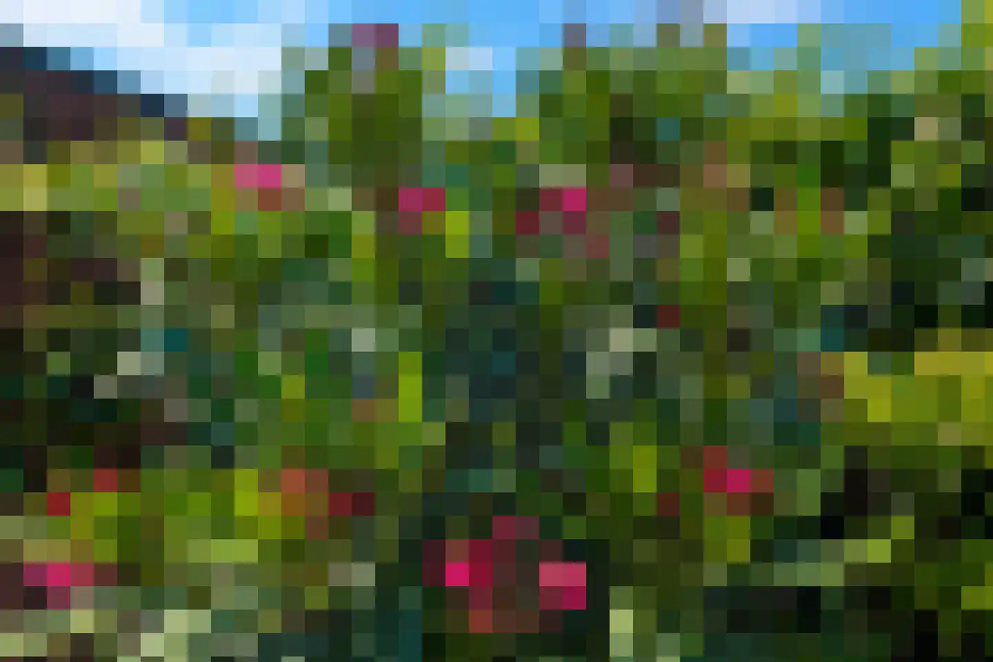 Schipluidenlaan 60 Tilburg thumbnail 50