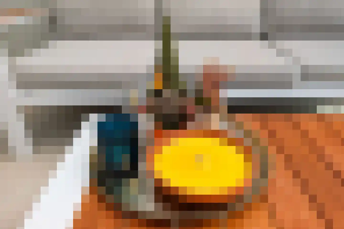 Schipluidenlaan 60 Tilburg thumbnail 52