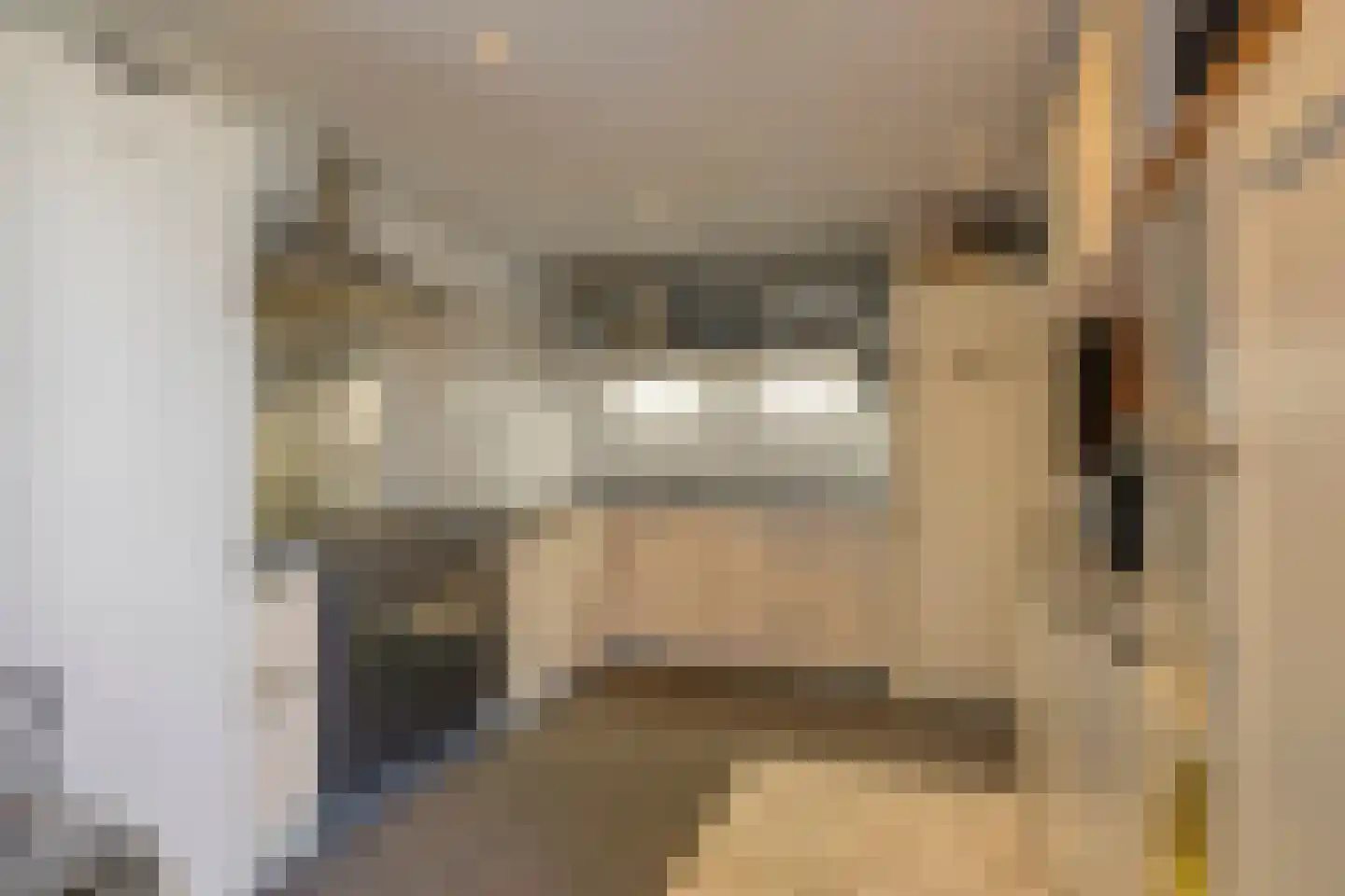 Schipluidenlaan 60 Tilburg thumbnail 55