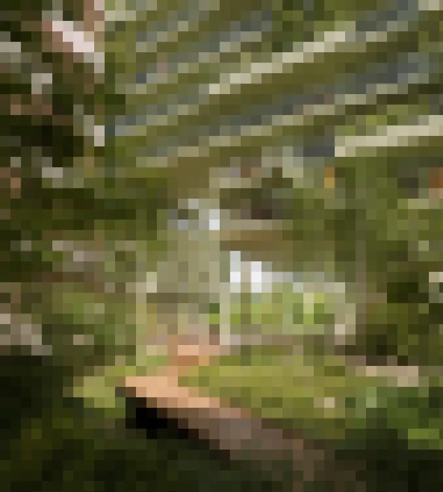 Schipluidenlaan 614 Amsterdam thumbnail 8