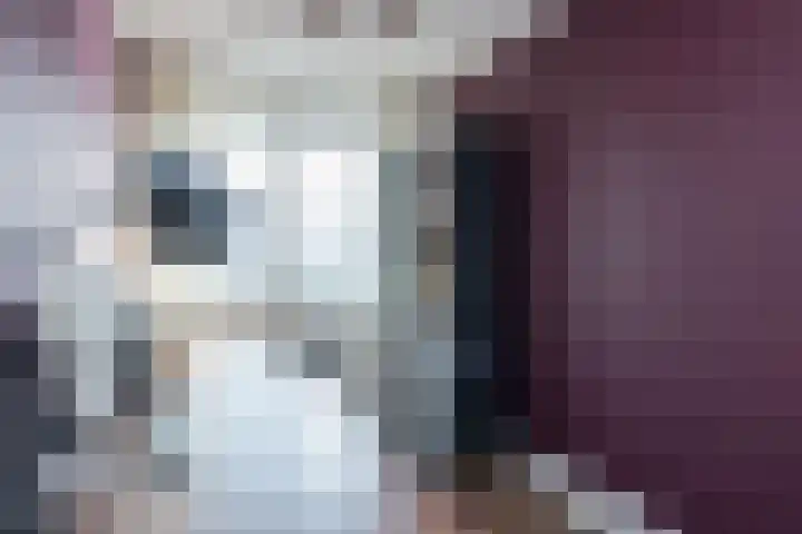 Schipluidenlaan 65 Tilburg thumbnail 21