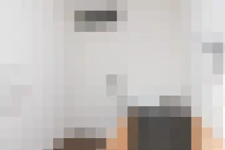 Schipluidenlaan 65 Tilburg thumbnail 25