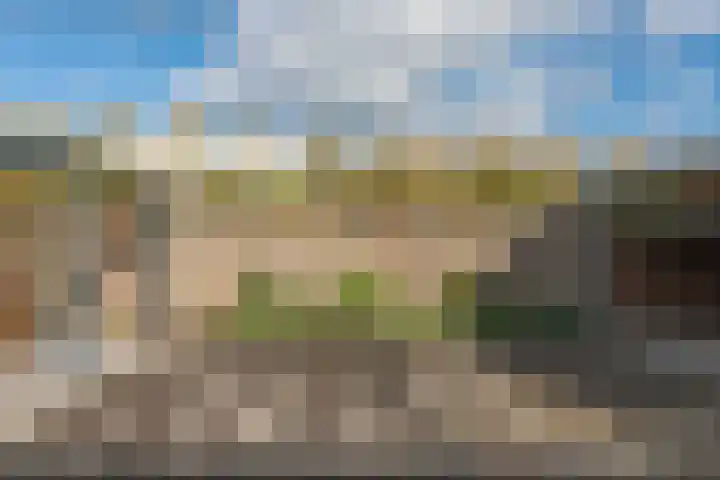 Schipluidenlaan 65 Tilburg thumbnail 32
