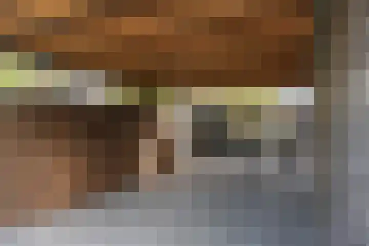 Schipluidenlaan 65 Tilburg thumbnail 36