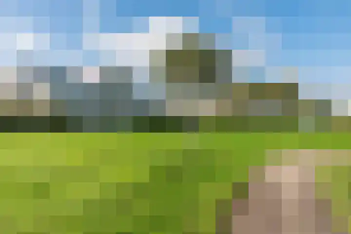 Schipluidenlaan 65 Tilburg thumbnail 42