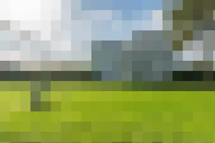 Schipluidenlaan 65 Tilburg thumbnail 5
