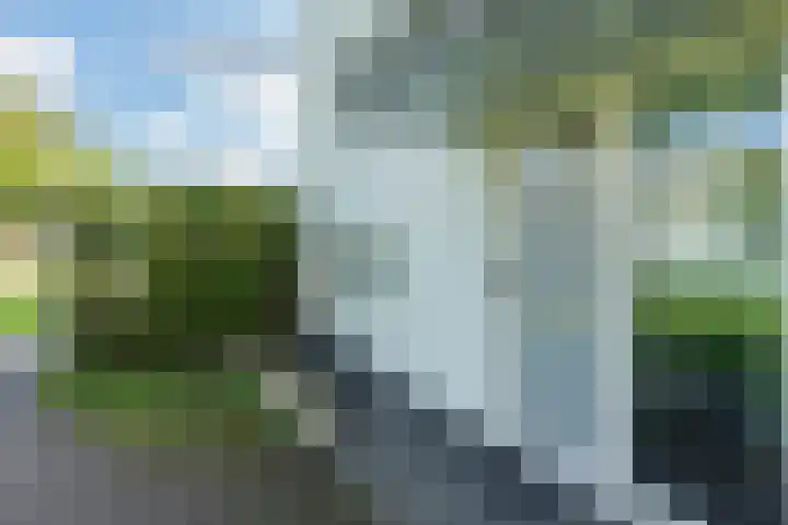Schipluidenlaan 65 Tilburg thumbnail 6