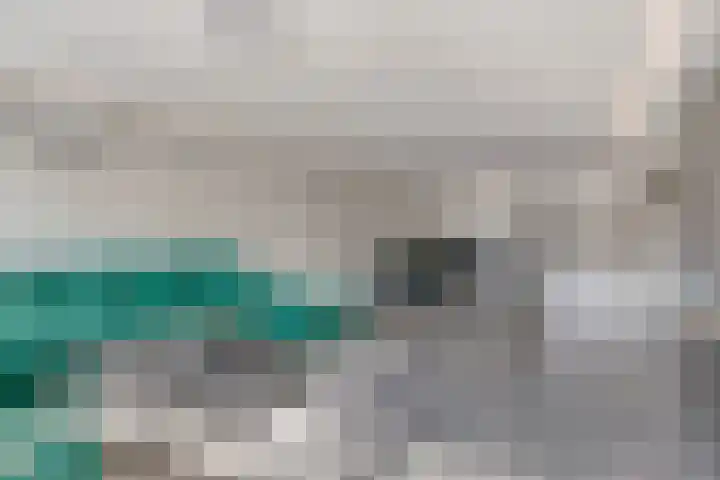 Schipluidenlaan 67 Tilburg thumbnail 17