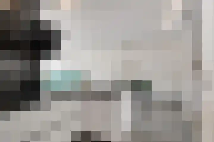 Schipluidenlaan 67 Tilburg thumbnail 23