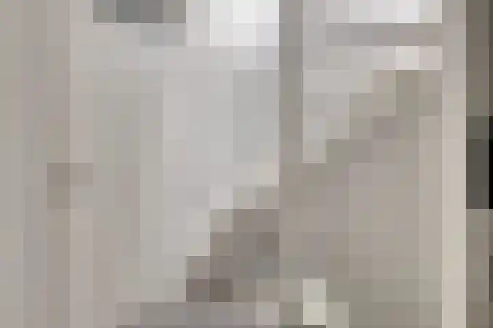 Schipluidenlaan 67 Tilburg thumbnail 24