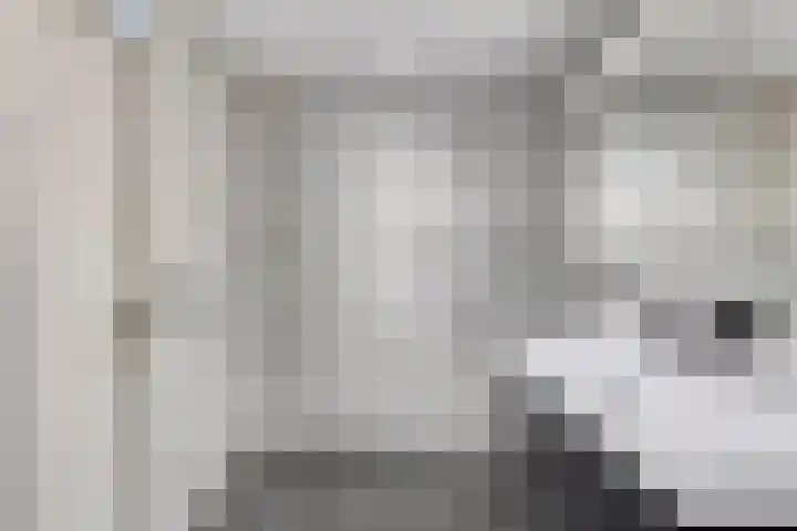 Schipluidenlaan 67 Tilburg thumbnail 29