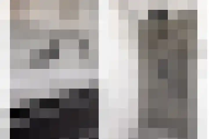Schipluidenlaan 67 Tilburg thumbnail 30
