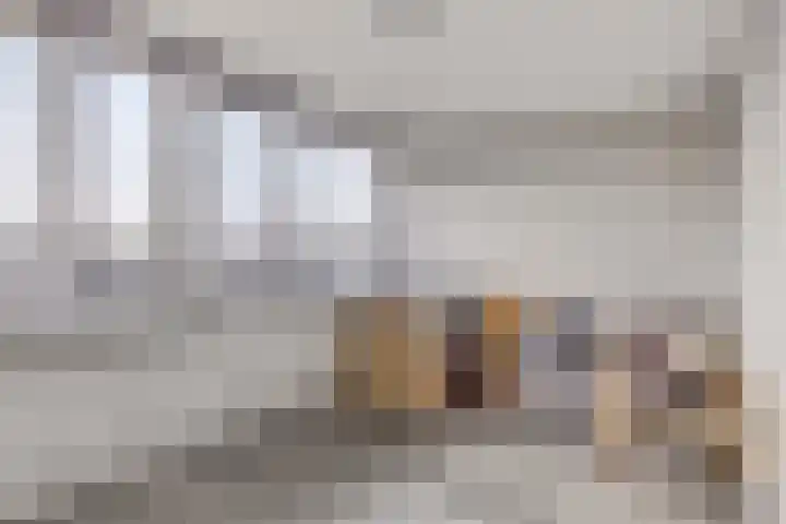 Schipluidenlaan 67 Tilburg thumbnail 32