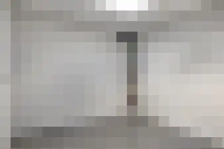 Schipluidenlaan 67 Tilburg thumbnail 33