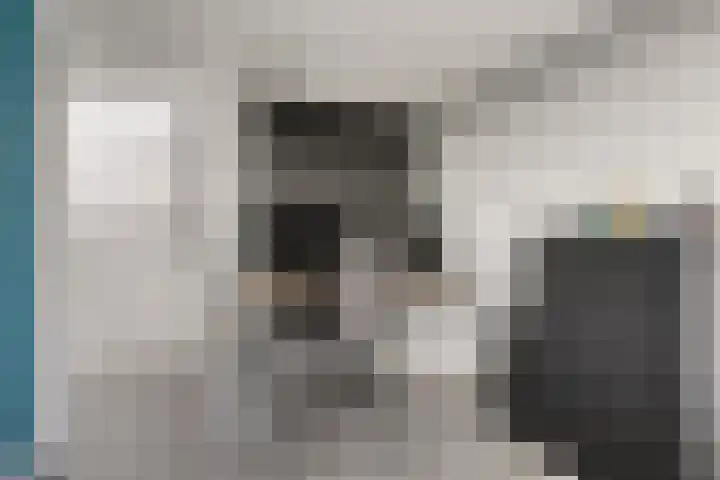 Schipluidenlaan 67 Tilburg thumbnail 35