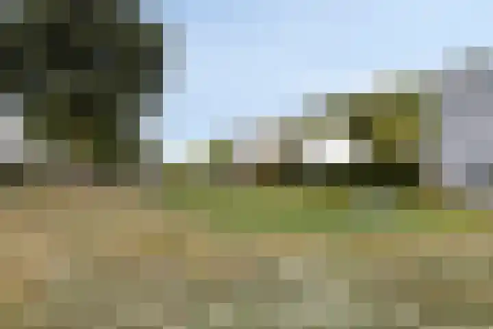 Schipluidenlaan 67 Tilburg thumbnail 36