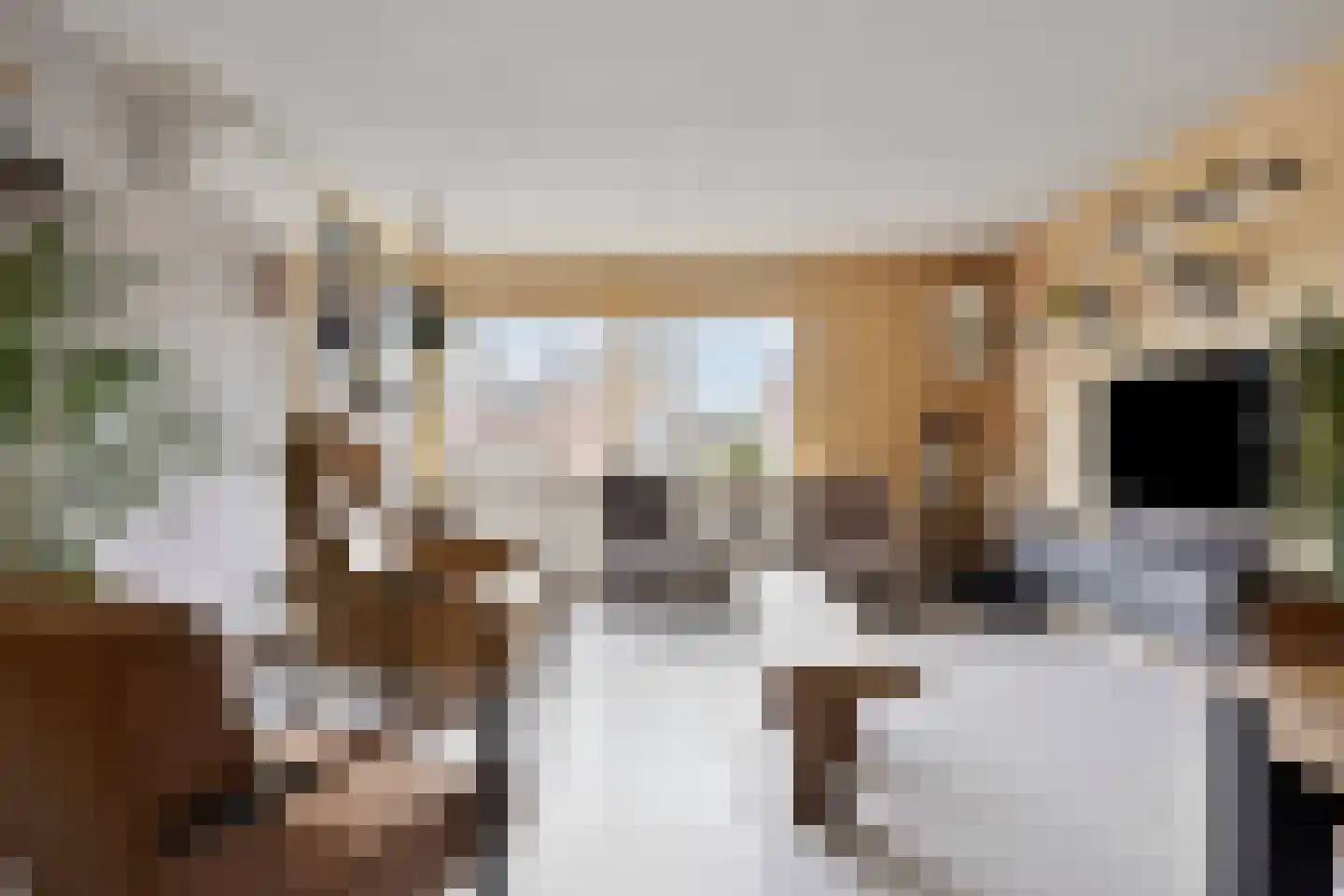 Schipluidenlaan 8 Tilburg thumbnail 10