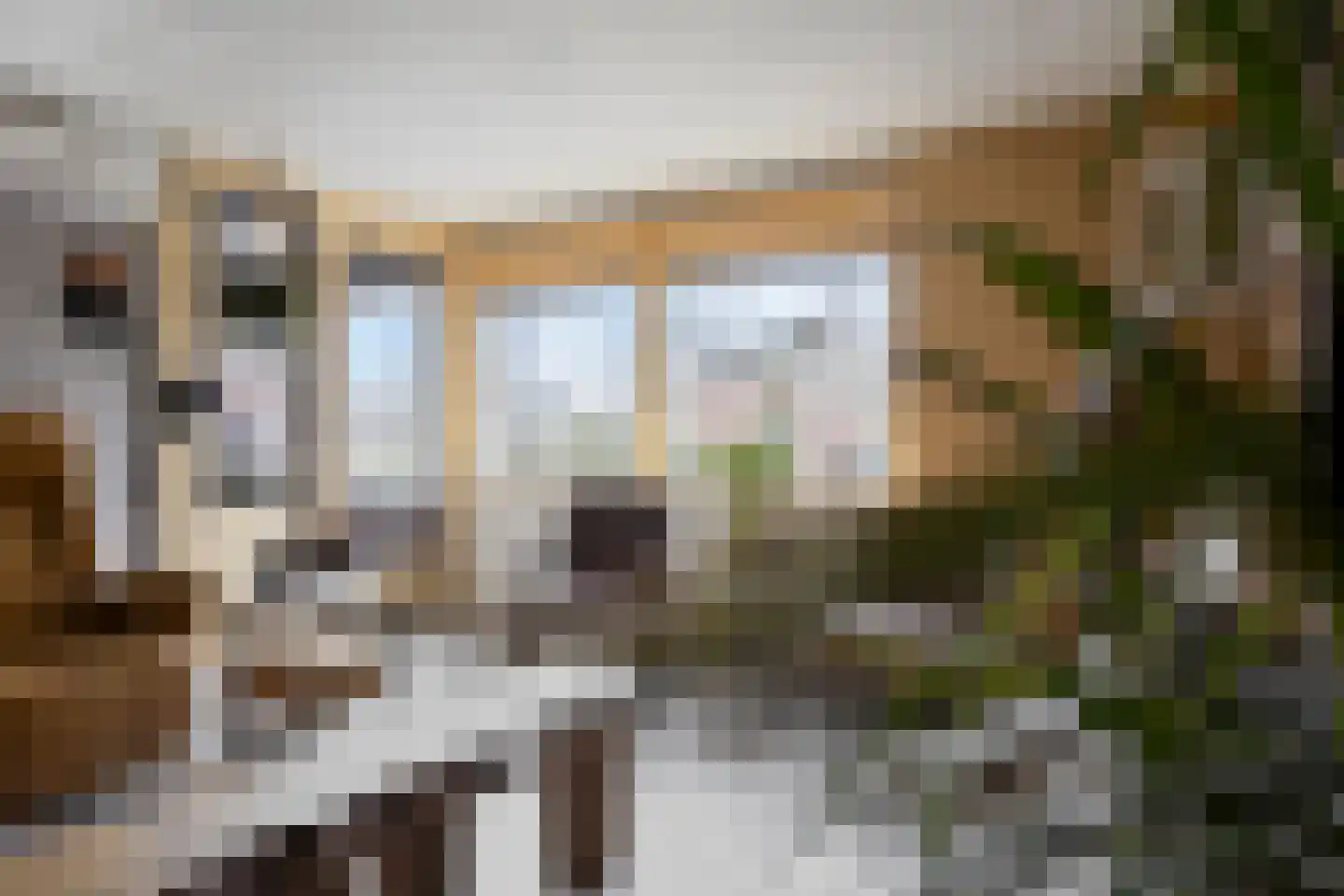 Schipluidenlaan 8 Tilburg thumbnail 14